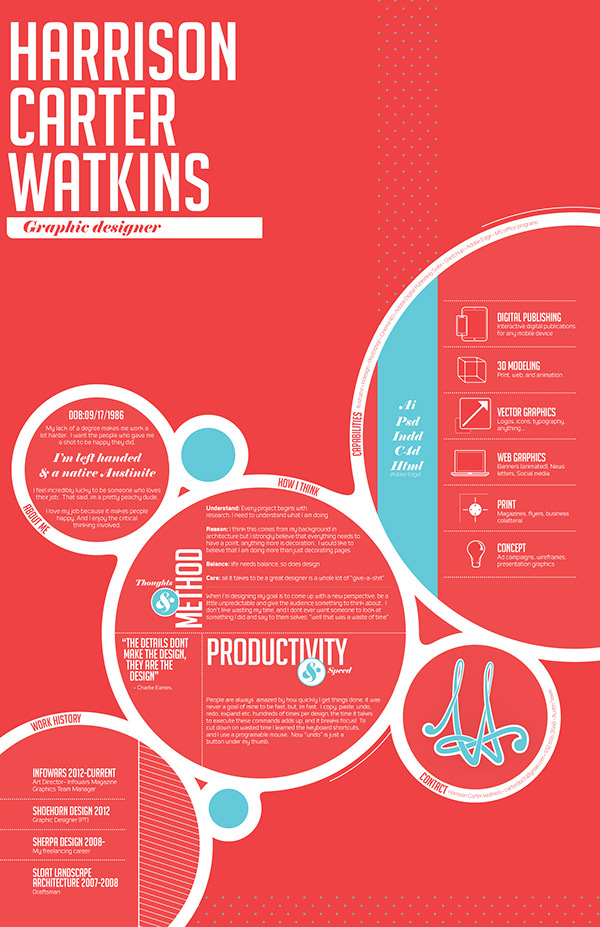 20 Beautiful Infographic Resumes That Will Inspire You Visual