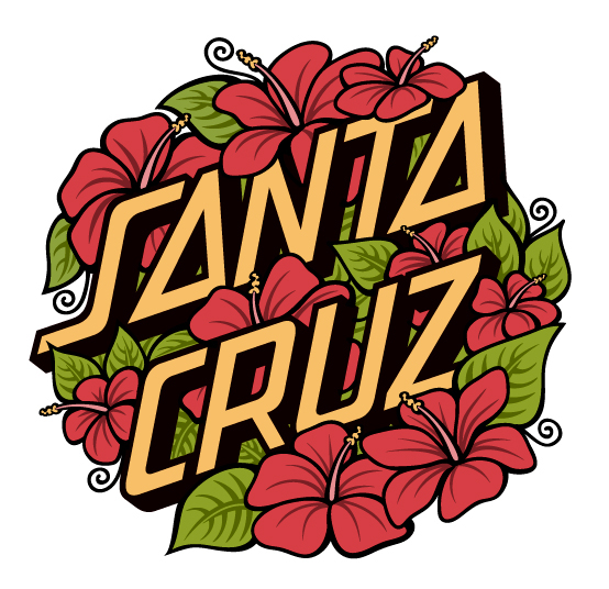 Santa Cruz Skateboards on Behance